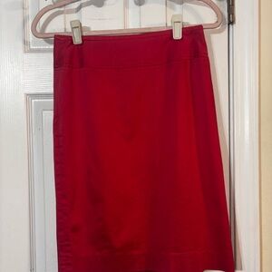 Elegant pink Women's Skirt